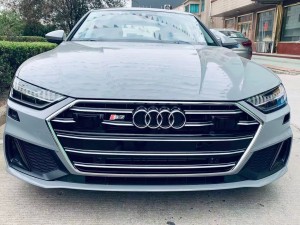 Rs7 Hood Grill mo Aud A7 S7 S7 C8 ma COC BUMPT BUMPER CENTER GRING