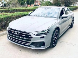 Rs7 Hood Grill mo Aud A7 S7 S7 C8 ma COC BUMPT BUMPER CENTER GRING
