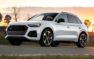 Q5 fog grill for Audi Q5 SQ5 ABS fog honeycomb mesh grille 22-25